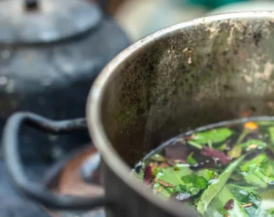 Tribunal condena casal que deu chá de ayahuasca a adolescente em ritual religioso