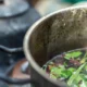 Tribunal condena casal que deu chá de ayahuasca a adolescente em ritual religioso