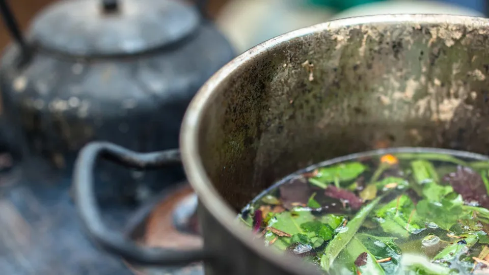 Tribunal condena casal que deu chá de ayahuasca a adolescente em ritual religioso