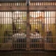 Trump anuncia reabertura de Alcatraz para criminosos violentos