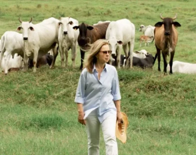 Tudo é culpa do Agro?