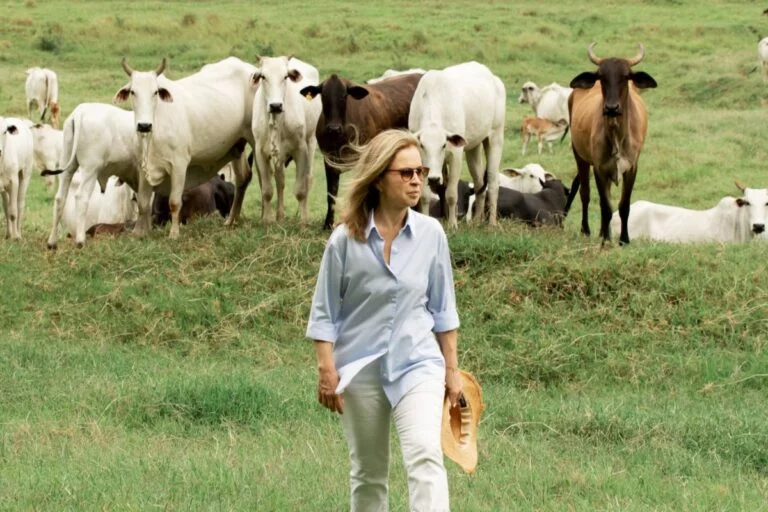 Tudo é culpa do Agro?
