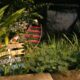 Turismo de base comunitária e a manutenção da floresta no AC