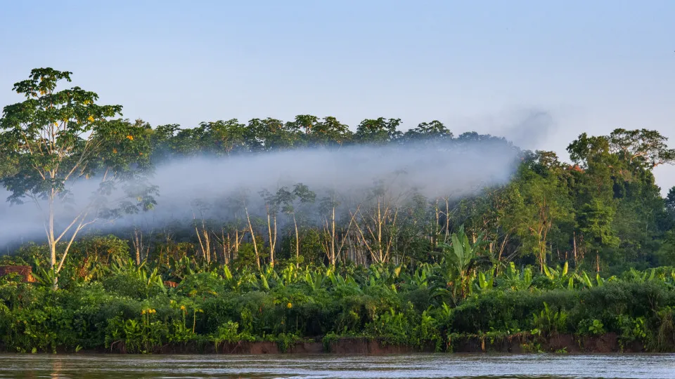 Turistas são assaltados por homens armados durante passeio na Amazônia