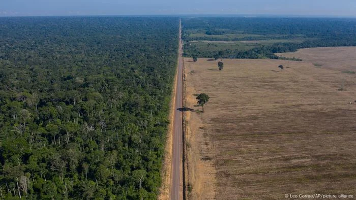 União Europeia classifica Brasil como país de 'risco médio' de desmatamento, e governo Lula reage