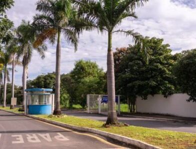 Unimontes lança Edital para 13 bolsistas na equipe criativa do Núcleo de Teatro – Inscrições vão até domingo