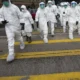 Uruguai, México e Chile suspendem importação de frango brasileiro após caso de gripe aviária