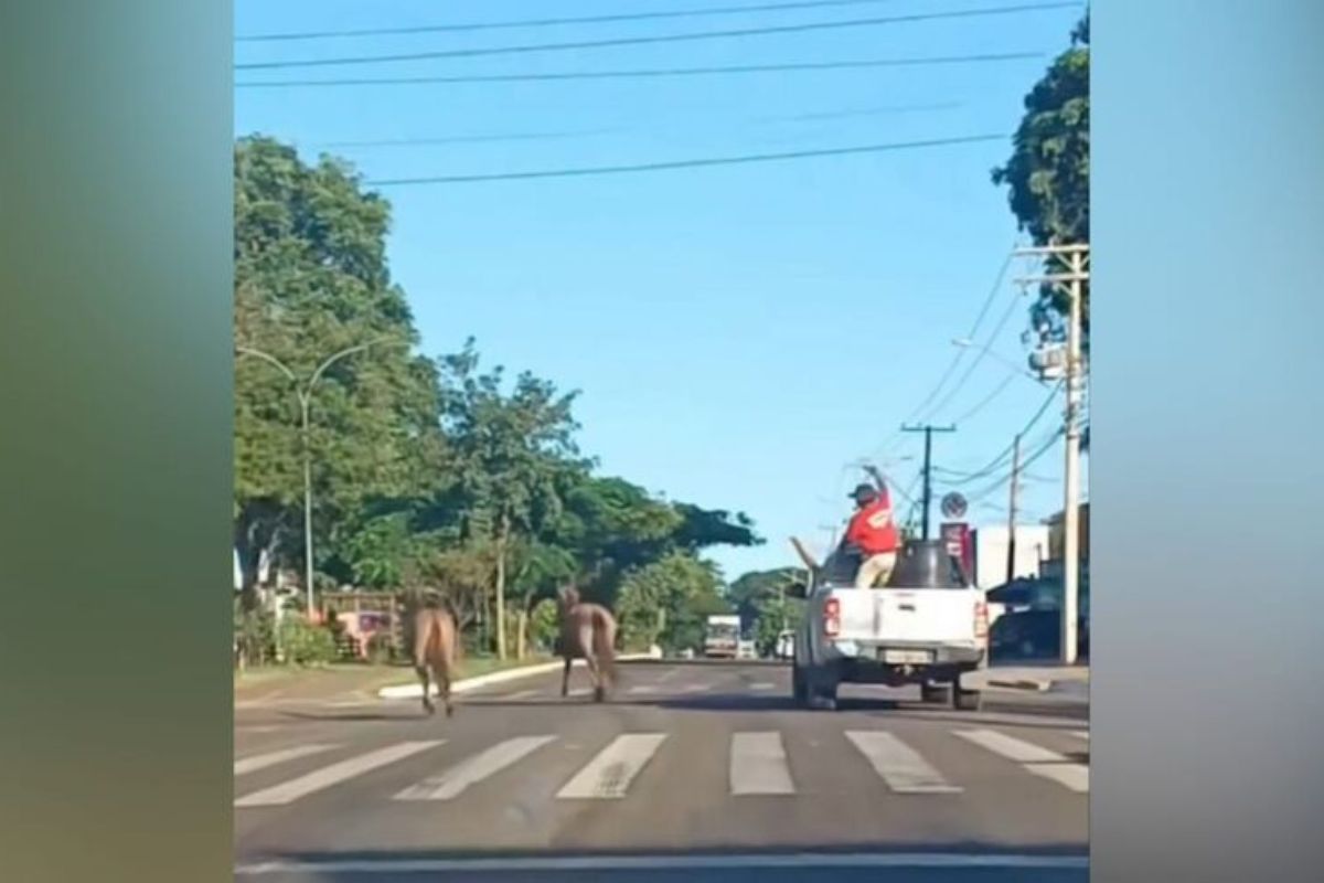 Ícone de sino para notificações