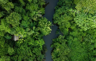13 anos do Código Florestal: ativo ou passivo brasileiro?