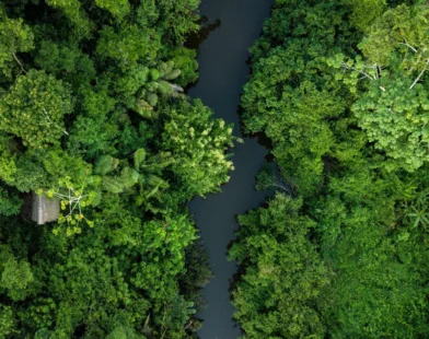 13 anos do Código Florestal: ativo ou passivo brasileiro?