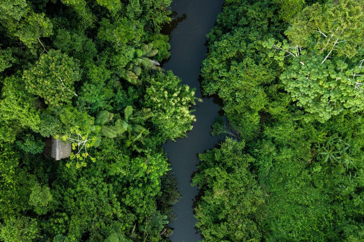 13 anos do Código Florestal: ativo ou passivo brasileiro?