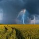 86% das lavouras brasileiras estão expostas a perdas financeiras por eventos climáticos