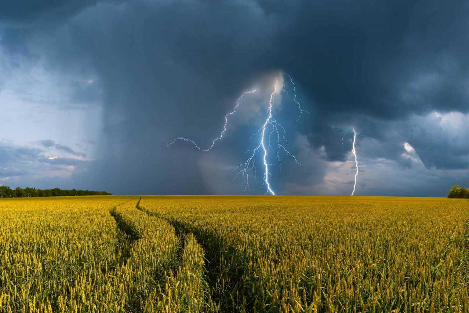 86% das lavouras brasileiras estão expostas a perdas financeiras por eventos climáticos