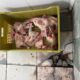 Abatedouro clandestino de aves é fechado em Divinópolis; 2,6 toneladas de carne são apreendidas