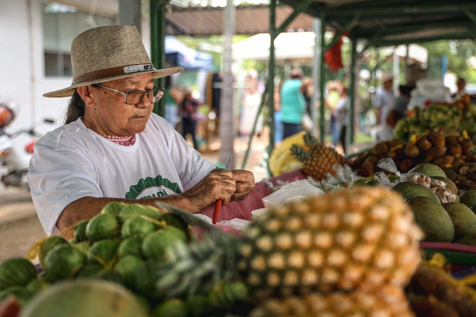 Acre realiza seminário de agricultura familiar no âmbito do Programa de Alimentação Escolar