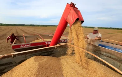 Agronegócio tem safra e recuperações judiciais recordes; entenda o que está acontecendo
