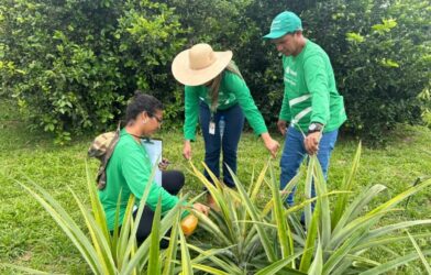 Agronorte inicia ações no Acre para capacitar técnicos da Região Norte