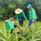 Agronorte inicia acoes no Acre para capacitar tecnicos da Regiao 80x80
