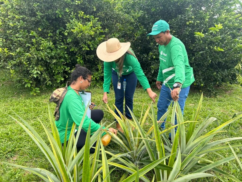 Agronorte inicia ações no Acre para capacitar técnicos da Região Norte