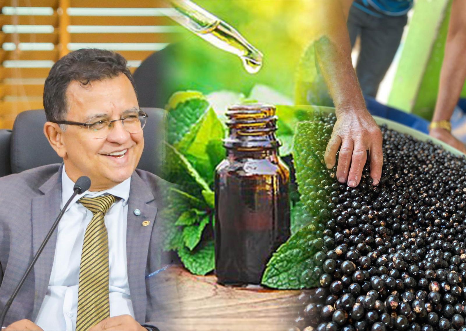 Aleac Aprova PL De Gonzaga Que Institui O Programa De Farmácias Vivas E O Que Torna Feijó A "Capital Do Açaí"