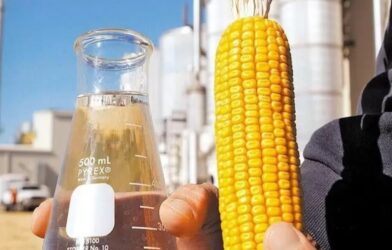 Alta produção impulsiona etanol e fortalece rentabilidade no campo
