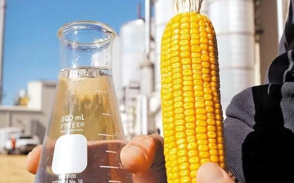 Alta produção impulsiona etanol e fortalece rentabilidade no campo