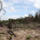 Amazônia ganha centro para pesquisas em recuperação de áreas degradadas