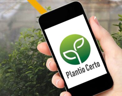Aplicativo ajuda produtores a planejar plantio com base em risco climático