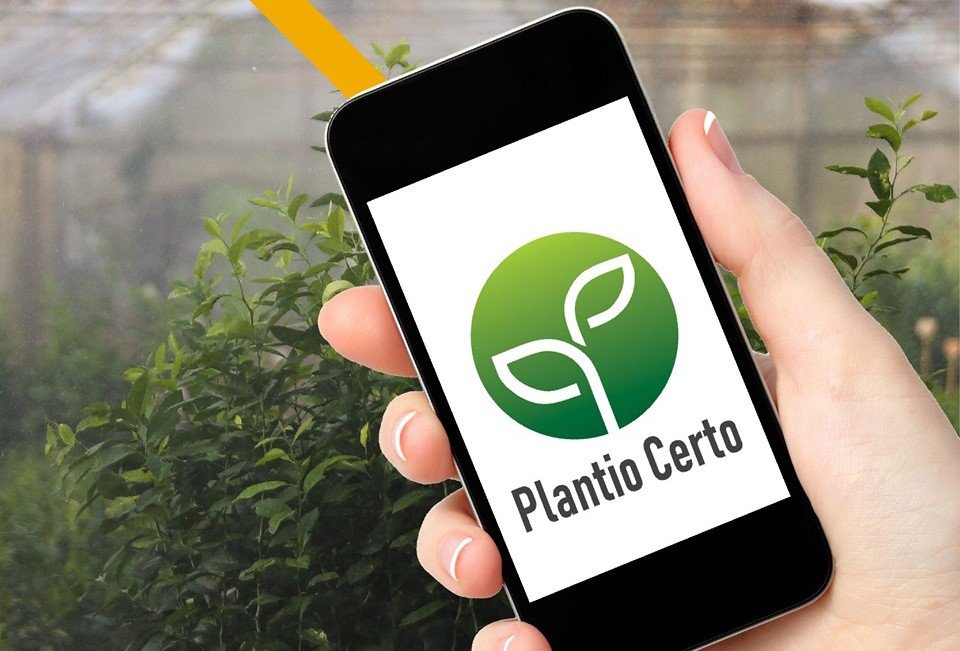 Aplicativo ajuda produtores a planejar plantio com base em risco climático