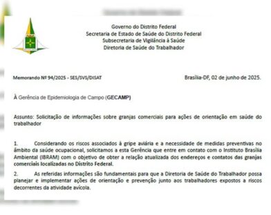 Após suspeita de gripe aviária no DF, Vigilância pretende ir a granjas