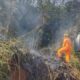 Bombeiros controlam incêndio em vegetação às margens da BR-251 em Salinas