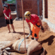 Bombeiros resgatam cavalo que caiu em fossa em Janauba 80x80