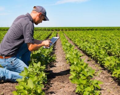 CNA analisa custos de produção de Acre, Bahia e Minas Gerais