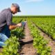 CNA analisa custos de produção de Acre, Bahia e Minas Gerais