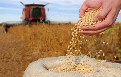CNA: governo "fecha portas" do crédito rural com tributação de títulos agrícolas