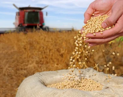 CNA: governo "fecha portas" do crédito rural com tributação de títulos agrícolas