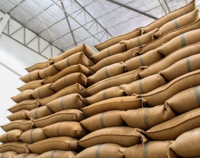 Capacidade de armazenagem em propriedades cresceu 72% nos últimos 15 anos