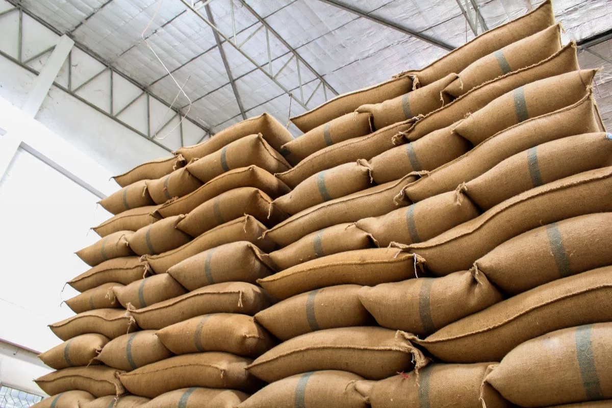 Capacidade de armazenagem em propriedades cresceu 72% nos últimos 15 anos