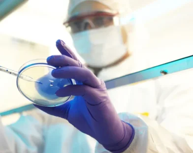 Cientistas chineses são acusados de levar fungo tóxico aos EUA