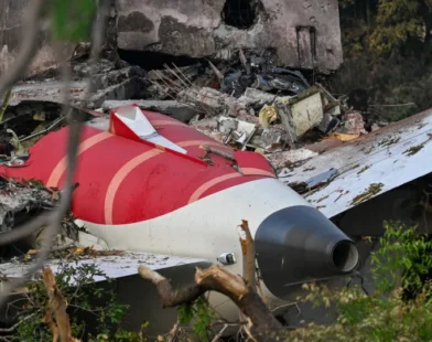 Colisão com aves pode ser "provável" causa da queda de avião na Índia