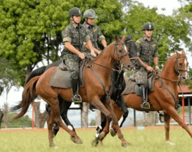 Conheça a fazenda onde são forjados os cavalos de guerra do Exército Brasileiro