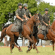 Conheça a fazenda onde são forjados os cavalos de guerra do Exército Brasileiro