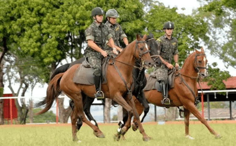 Conheça a fazenda onde são forjados os cavalos de guerra do Exército Brasileiro