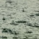 Defesa Civil confirma terceira morte por causa da forte chuva.webp 80x80
