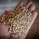 Fertilizantes o calcanhar de Aquiles do agro brasileiro.webp 80x80