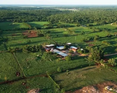 Gigante coloca uma das maiores fazendas leiteiras à venda e atrai investidores globais