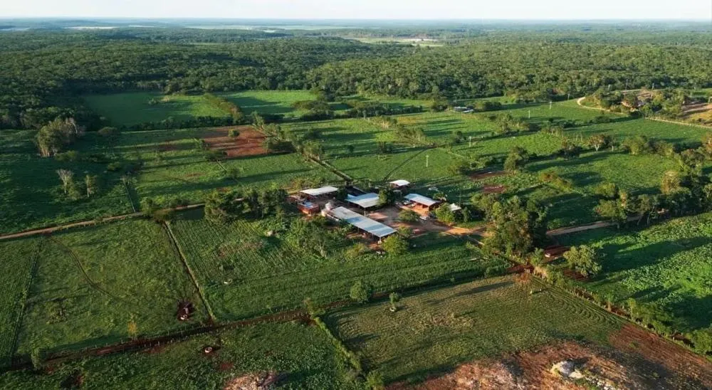 Gigante coloca uma das maiores fazendas leiteiras à venda e atrai investidores globais