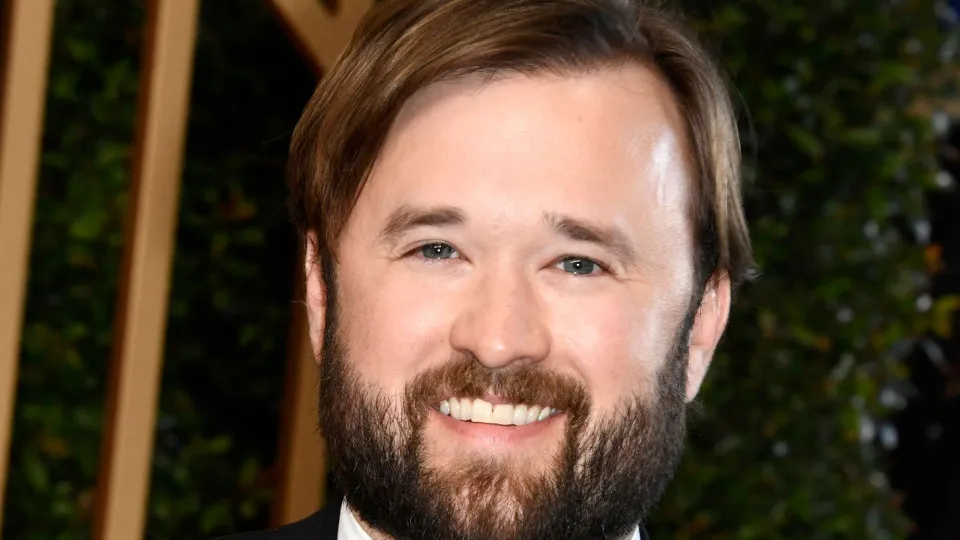 Haley Joel Osment deve ir a reuniões semanais do AA após prisão, diz jornal