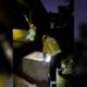 Homem de 45 anos morre ao cair e se afogar 80x80