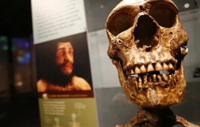 Homo sapiens 'treinou' capacidades de colonizador antes de se tornar espécie global